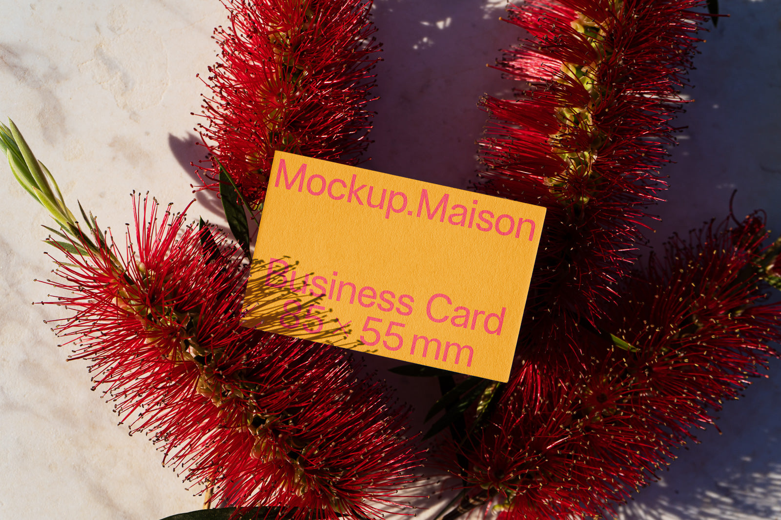 PSD mockup of a business card labeled "Mockup.Maison" and "Business Card 85 x 55 mm" placed on red bottlebrush flowers on a marble surface.