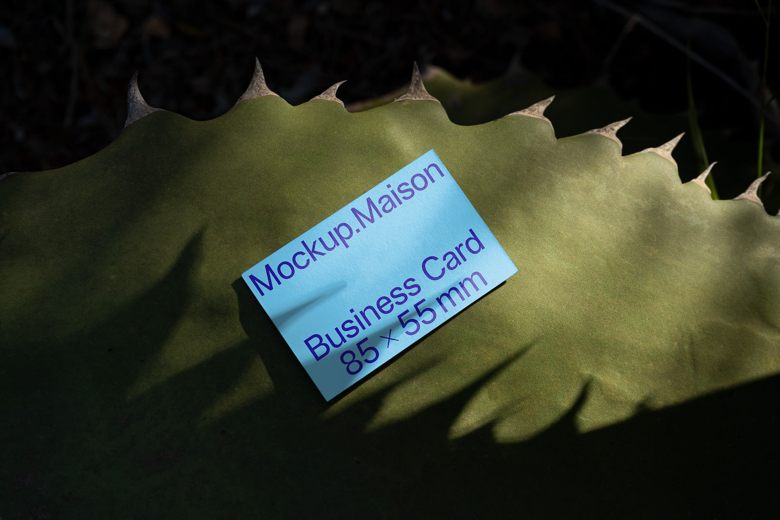 PSD mockup of a business card positioned on a textured green surface, illuminated by natural light, displaying dimensions 85 x 55 mm.