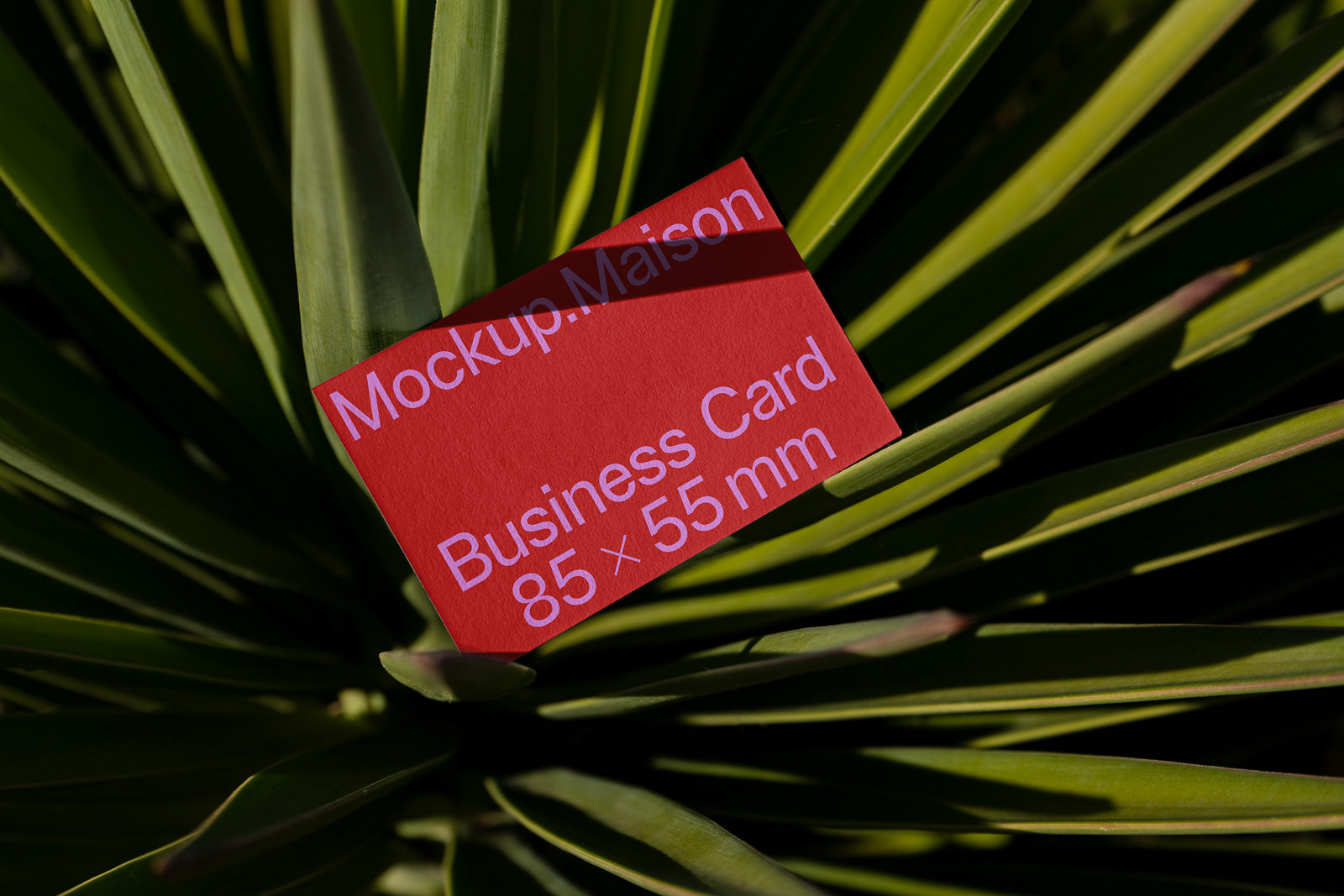 PSD mockup of a red business card with "Mockup.Maison" and "Business Card 85 × 55 mm" text, placed on green foliage for natural contrast.
