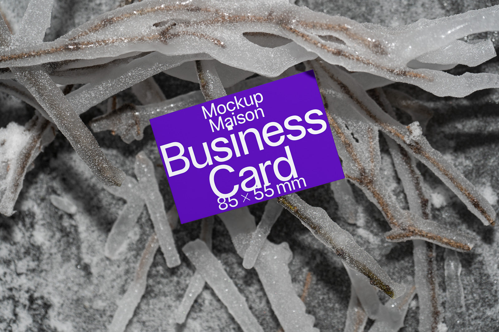 PSD mockup of a purple business card on icy branches, showcasing 85 x 55 mm dimensions against a textured background.