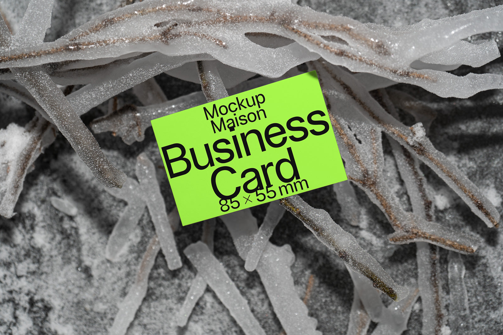 Business Card BC-SNW-02