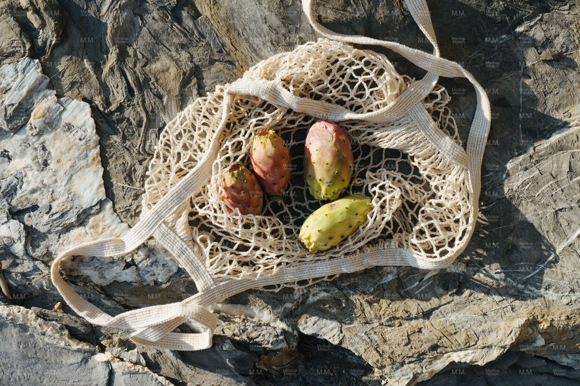 Cactusfruit Stock Image SI-ITA-10