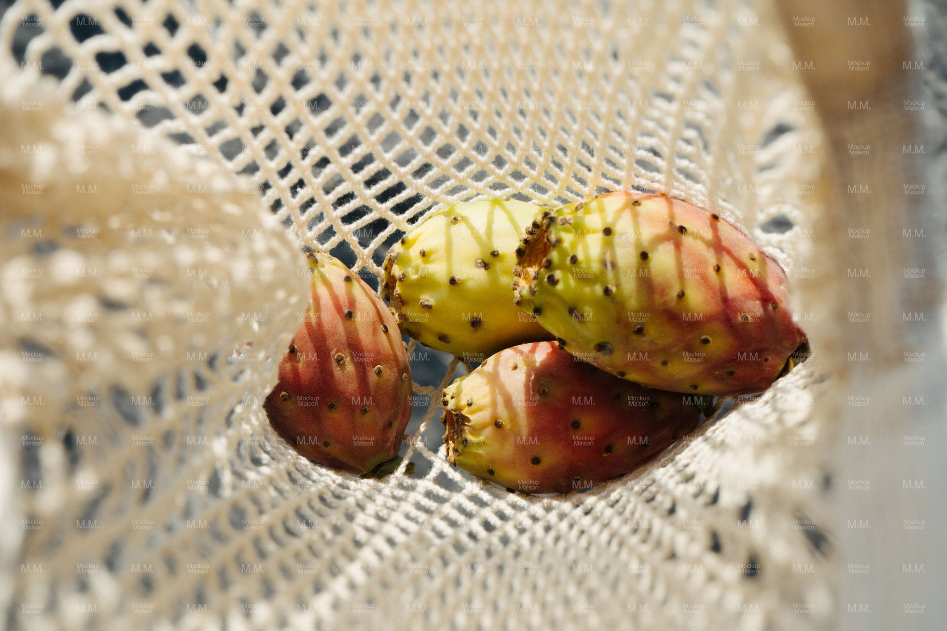 Cactusfruit Stock Image SI-ITA-11