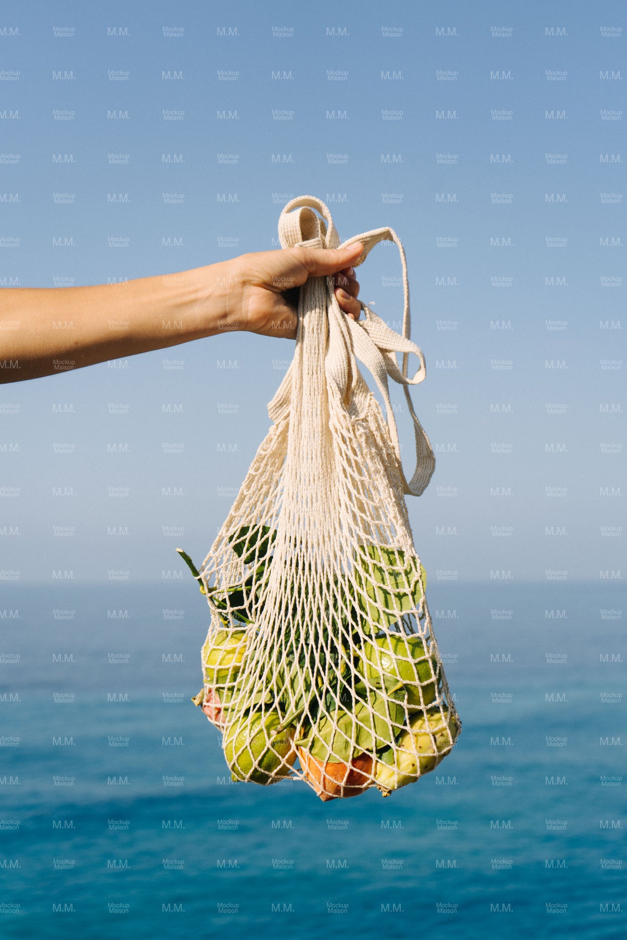 Fruitbag Stock Image SI-ITA-17