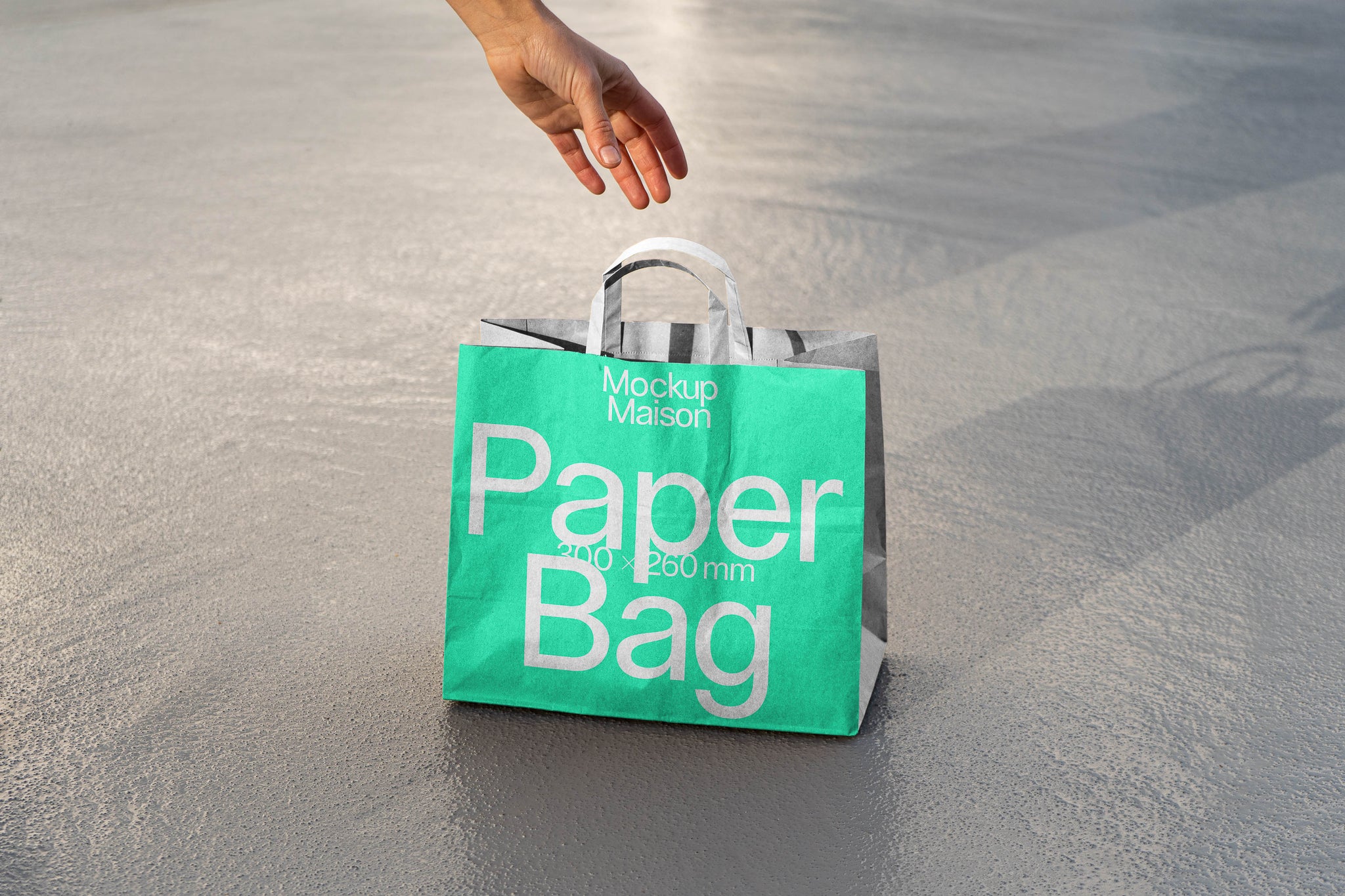 Paper Bag BG-F-04
