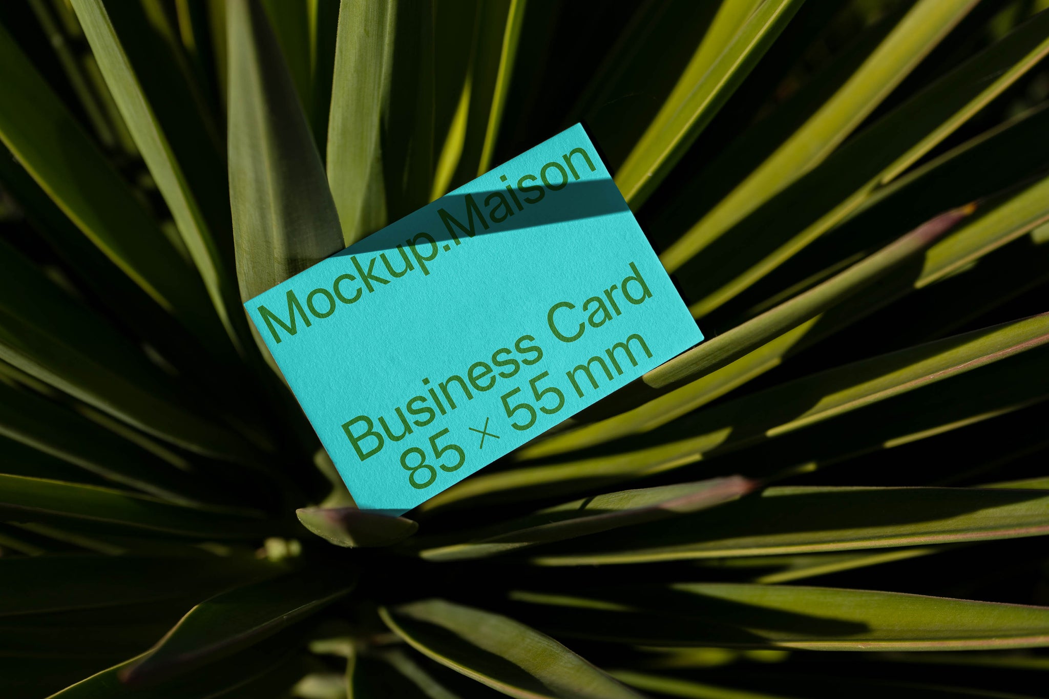 Business Card BC-C-04