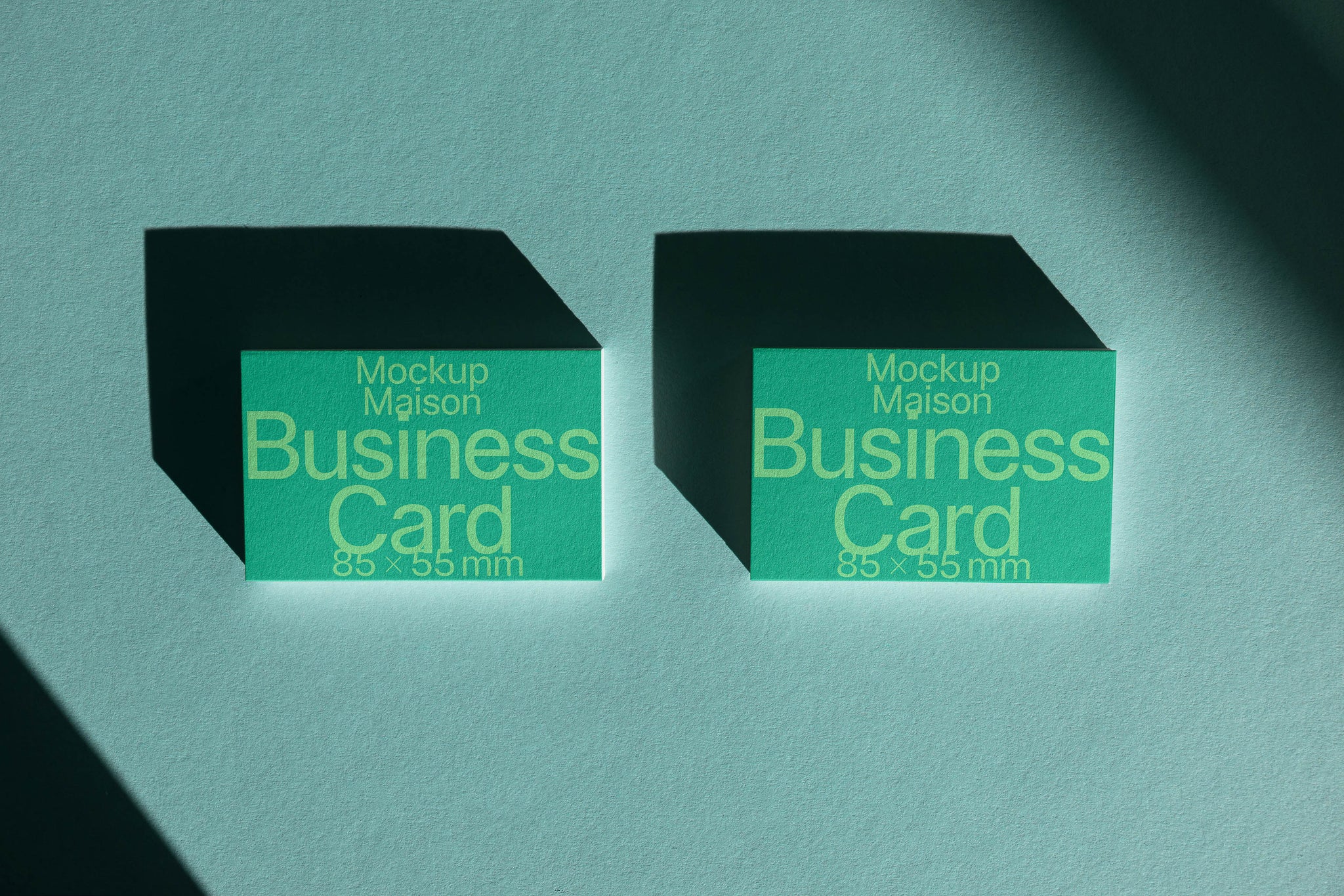 Business Card BC-F-02