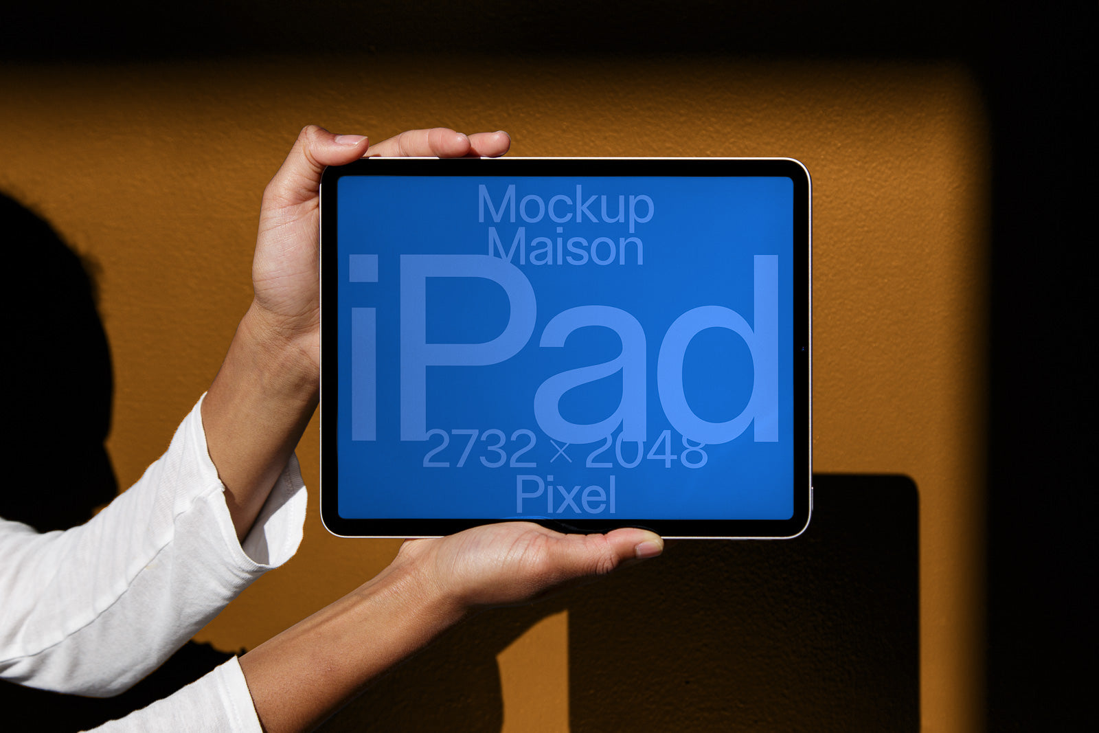 iPad Pro 11" TB-E-02